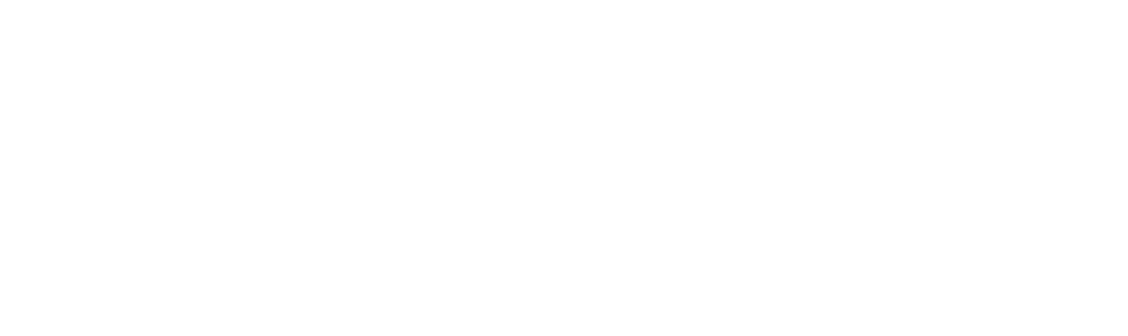 Dynamic Retail